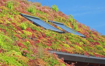 Haworth living roof systems